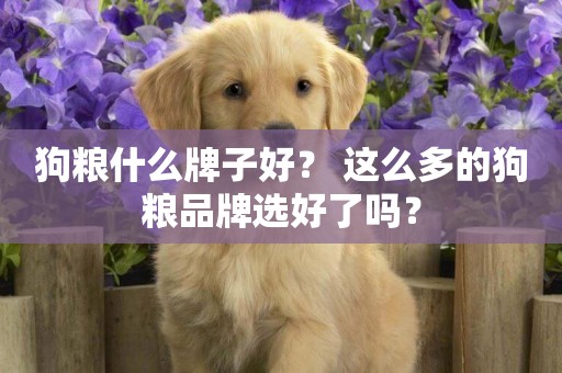 狗糧什么牌子好？ 這么多的狗糧品牌選好了嗎？
