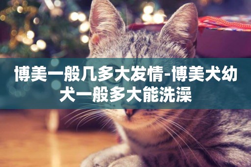 博美一般幾多大發情-博美犬幼犬一般多大能洗澡