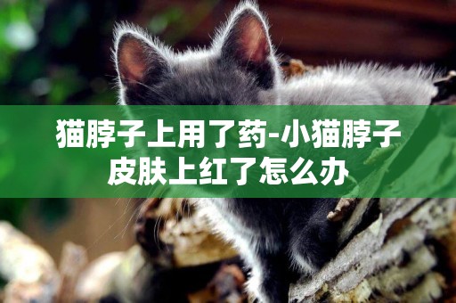 貓脖子上用了藥-小貓脖子皮膚上紅了怎么辦