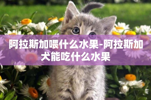 阿拉斯加喂什么水果-阿拉斯加犬能吃什么水果