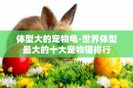 體型大的寵物龜-世界體型最大的十大寵物貓排行