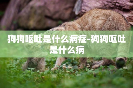 狗狗嘔吐是什么病癥-狗狗嘔吐是什么病