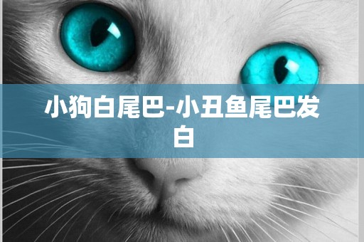 小狗白尾巴-小丑魚尾巴發白