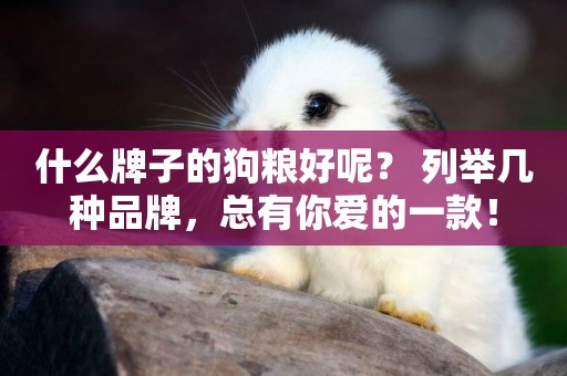 什么牌子的狗糧好呢？ 列舉幾種品牌，總有你愛的一款！