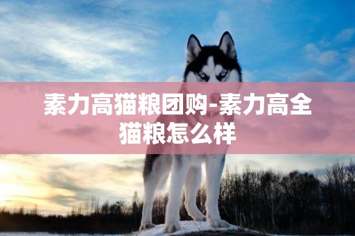 素力高貓糧團購-素力高全貓糧怎么樣
