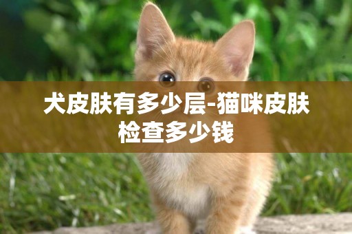 犬皮膚有多少層-貓咪皮膚檢查多少錢