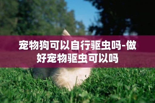 寵物狗可以自行驅蟲嗎-做好寵物驅蟲可以嗎