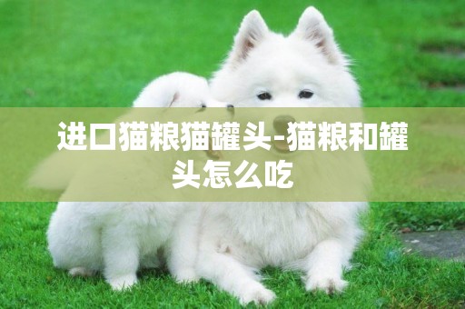 進口貓糧貓罐頭-貓糧和罐頭怎么吃