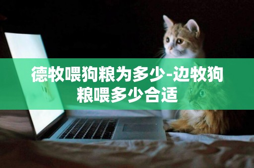 德牧喂狗糧為多少-邊牧狗糧喂多少合適