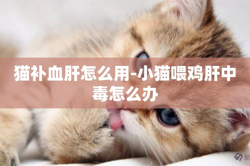 貓補血肝怎么用-小貓喂雞肝中毒怎么辦