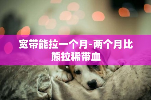 寬帶能拉一個月-兩個月比熊拉稀帶血