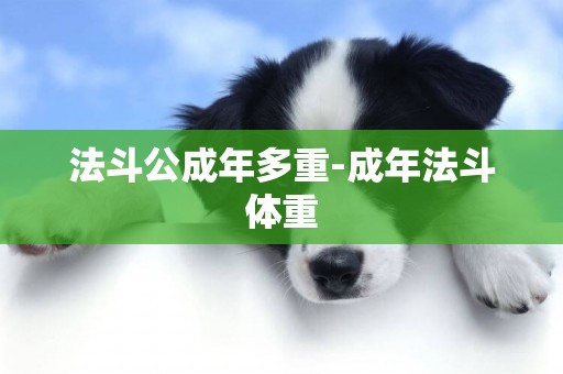 法斗公成年多重-成年法斗體重