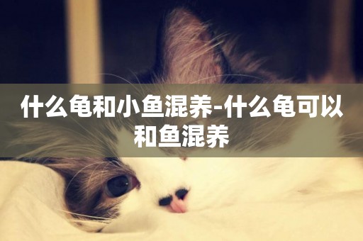 什么龜和小魚混養-什么龜可以和魚混養