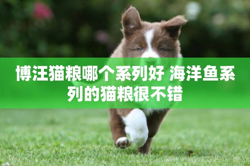 博汪貓糧哪個系列好 海洋魚系列的貓糧很不錯