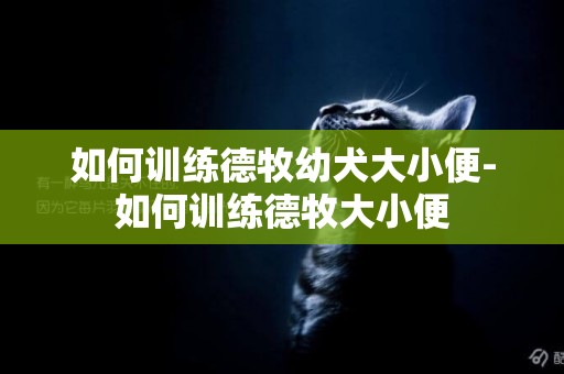 如何訓練德牧幼犬大小便-如何訓練德牧大小便
