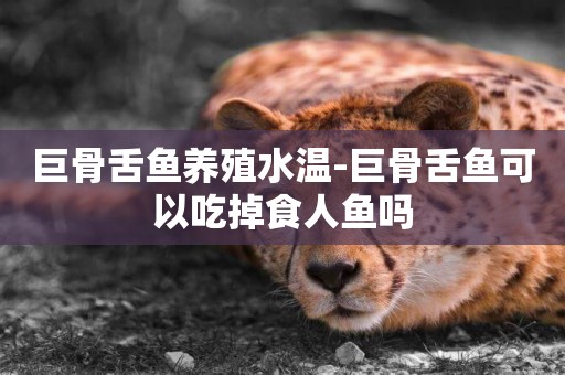 巨骨舌魚養殖水溫-巨骨舌魚可以吃掉食人魚嗎