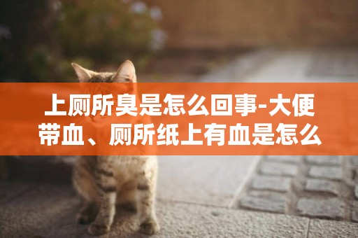 上廁所臭是怎么回事-大便帶血、廁所紙上有血是怎么回事