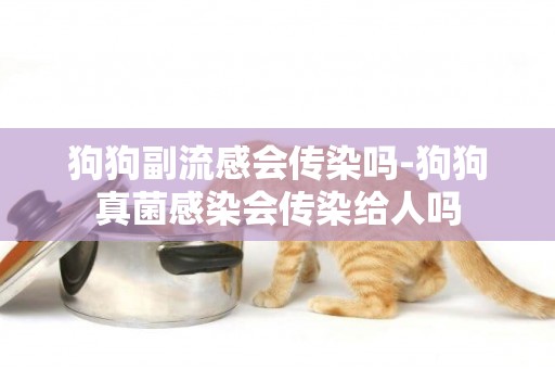 狗狗副流感會傳染嗎-狗狗真菌感染會傳染給人嗎