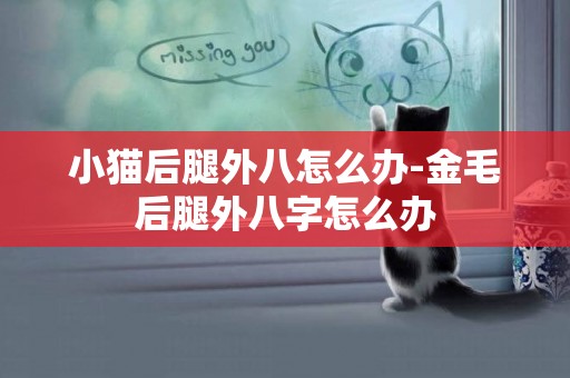 小貓后腿外八怎么辦-金毛后腿外八字怎么辦