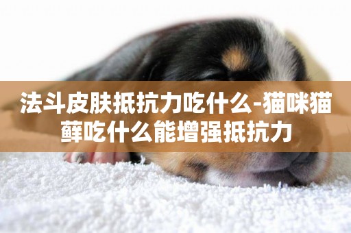 法斗皮膚抵抗力吃什么-貓咪貓蘚吃什么能增強抵抗力