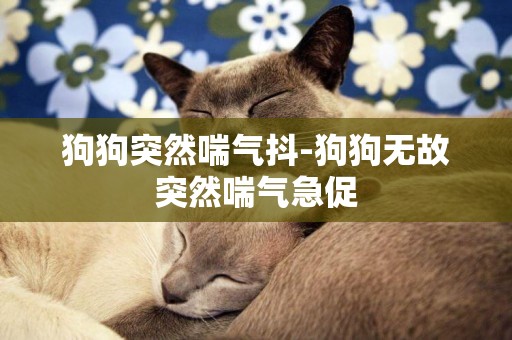 狗狗突然喘氣抖-狗狗無故突然喘氣急促