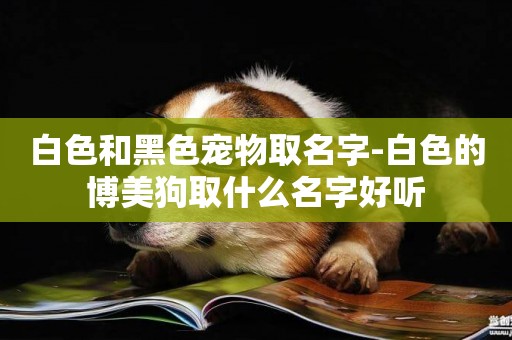 白色和黑色寵物取名字-白色的博美狗取什么名字好聽