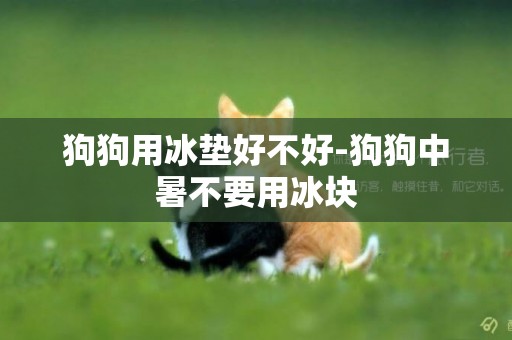 狗狗用冰墊好不好-狗狗中暑不要用冰塊