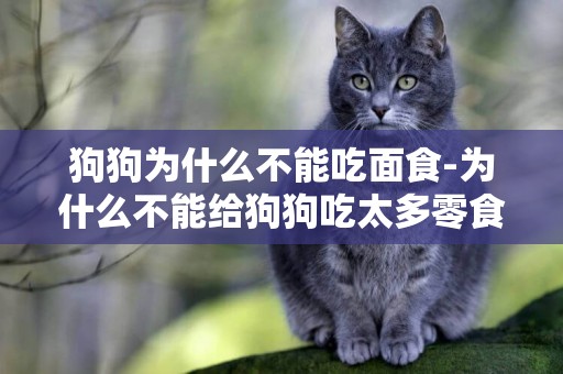 狗狗為什么不能吃面食-為什么不能給狗狗吃太多零食