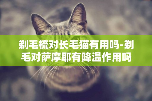 剃毛梳對長毛貓有用嗎-剃毛對薩摩耶有降溫作用嗎