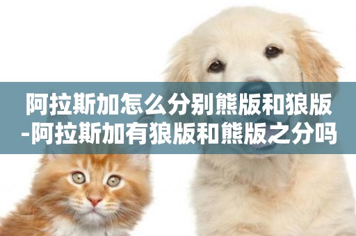 阿拉斯加怎么分別熊版和狼版-阿拉斯加有狼版和熊版之分嗎