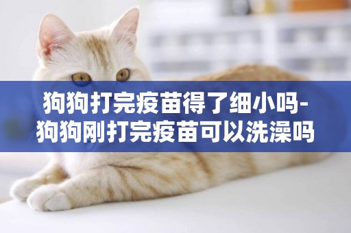 狗狗打完疫苗得了細小嗎-狗狗剛打完疫苗可以洗澡嗎