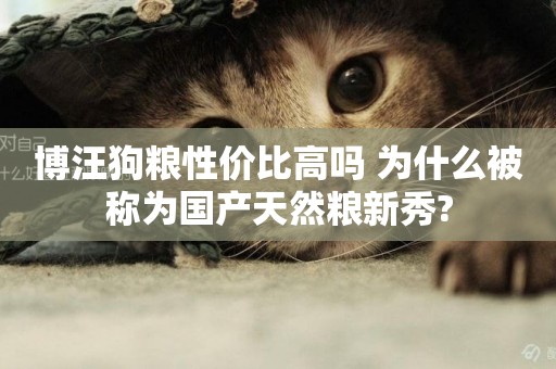 博汪狗糧性價比高嗎 為什么被稱為國產天然糧新秀?