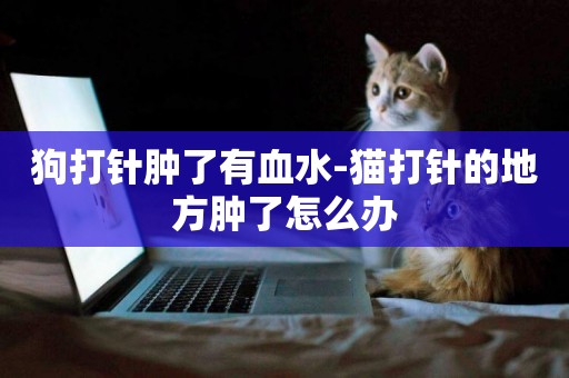 狗打針腫了有血水-貓打針的地方腫了怎么辦