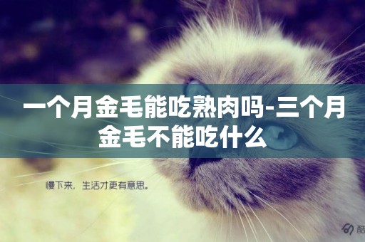 一個月金毛能吃熟肉嗎-三個月金毛不能吃什么