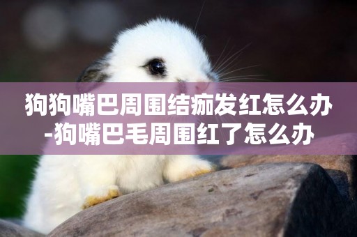 狗狗嘴巴周圍結痂發紅怎么辦-狗嘴巴毛周圍紅了怎么辦