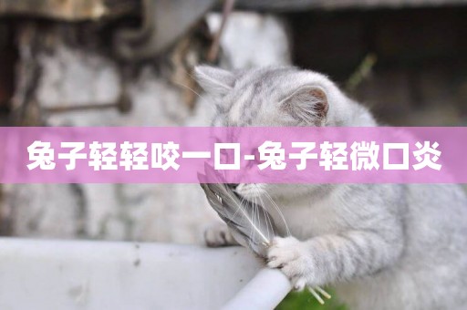 兔子輕輕咬一口-兔子輕微口炎