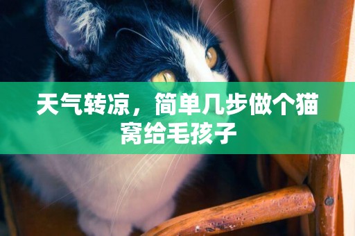 天氣轉涼，簡單幾步做個貓窩給毛孩子