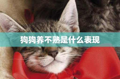 狗狗養不熟是什么表現 狗狗養不熟是什么表現
