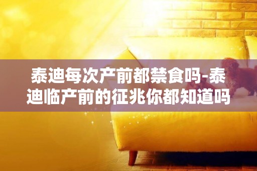 泰迪每次產前都禁食嗎-泰迪臨產前的征兆你都知道嗎