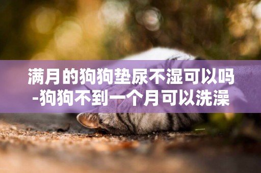 滿月的狗狗墊尿不濕可以嗎-狗狗不到一個月可以洗澡嗎