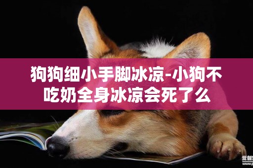 狗狗細小手腳冰涼-小狗不吃奶全身冰涼會死了么