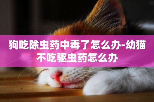 狗吃除蟲藥中毒了怎么辦-幼貓不吃驅蟲藥怎么辦