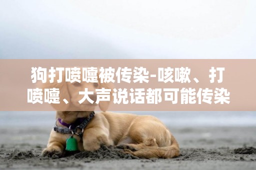 狗打噴嚏被傳染-咳嗽、打噴嚏、大聲說話都可能傳染