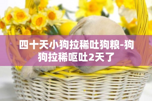 四十天小狗拉稀吐狗糧-狗狗拉稀嘔吐2天了
