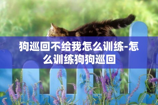 狗巡回不給我怎么訓練-怎么訓練狗狗巡回