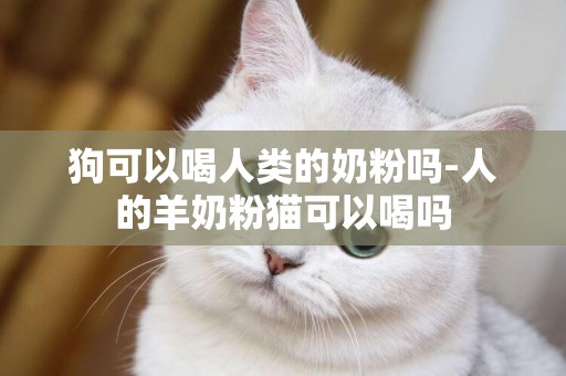 狗可以喝人類的奶粉嗎-人的羊奶粉貓可以喝嗎