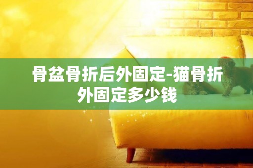 骨盆骨折后外固定-貓骨折外固定多少錢