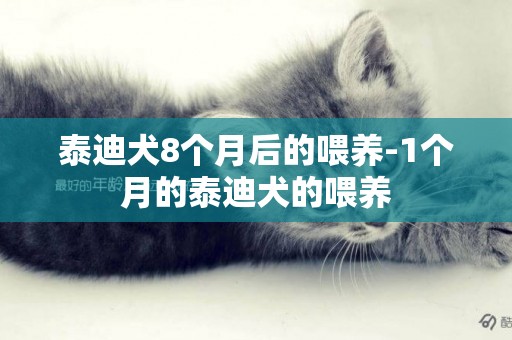 泰迪犬8個月后的喂養-1個月的泰迪犬的喂養