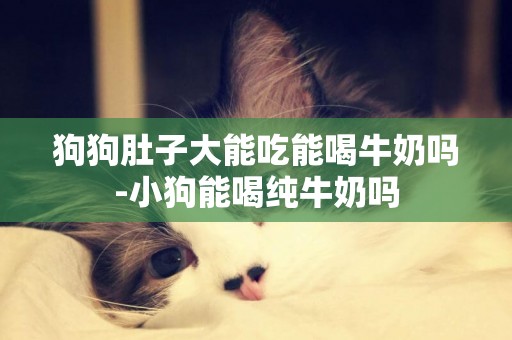 狗狗肚子大能吃能喝牛奶嗎-小狗能喝純牛奶嗎