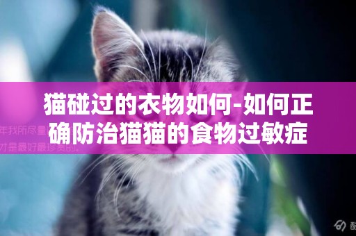 貓碰過的衣物如何-如何正確防治貓貓的食物過敏癥